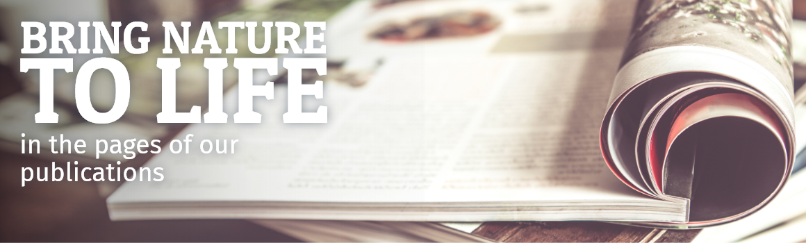 Magazines header image