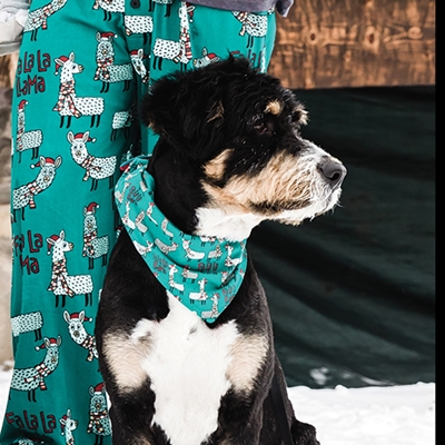 Festive Llama Dog Bandana