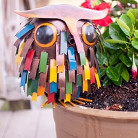 Owl Watering Can - 230013