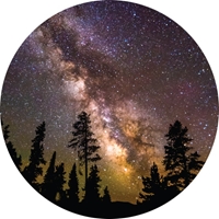 Milky Way Seals - NWF10811S