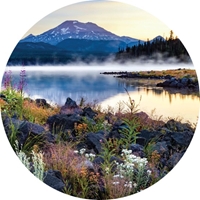 Volcanic Garden Seals - NWF10816S