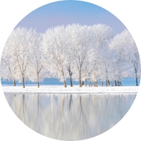 Winter Wonderland Seals - NWF10836S