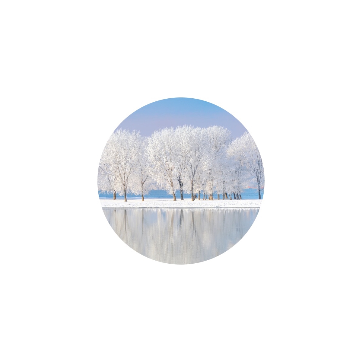 Winter Wonderland Seals
